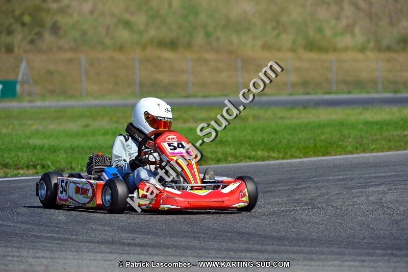 DSC_ (1252).jpg